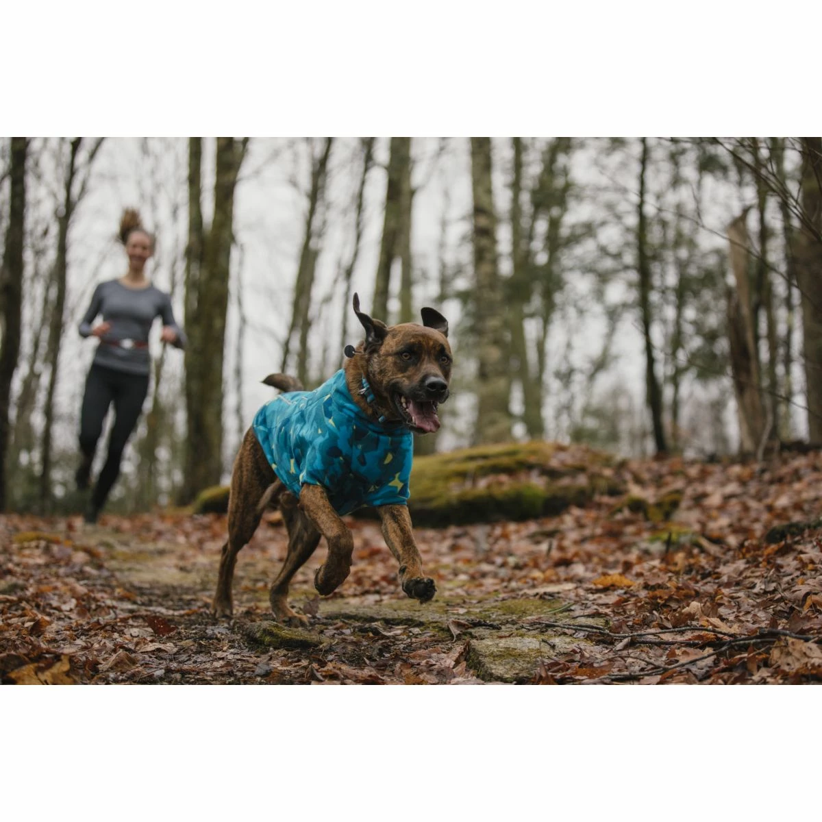 Ruffwear Climate Changer Jacket 13 Ruffwear Climate Changer Jacket - Image 13