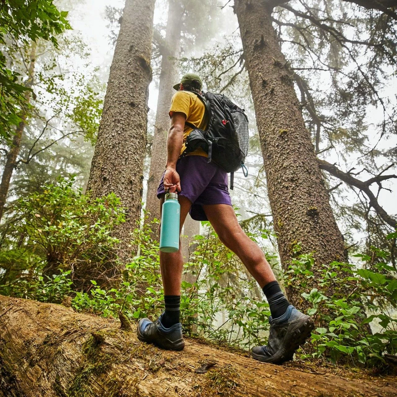 Hydro Flask Wide Mouth Stainless Steel Flex Cap - Image 3