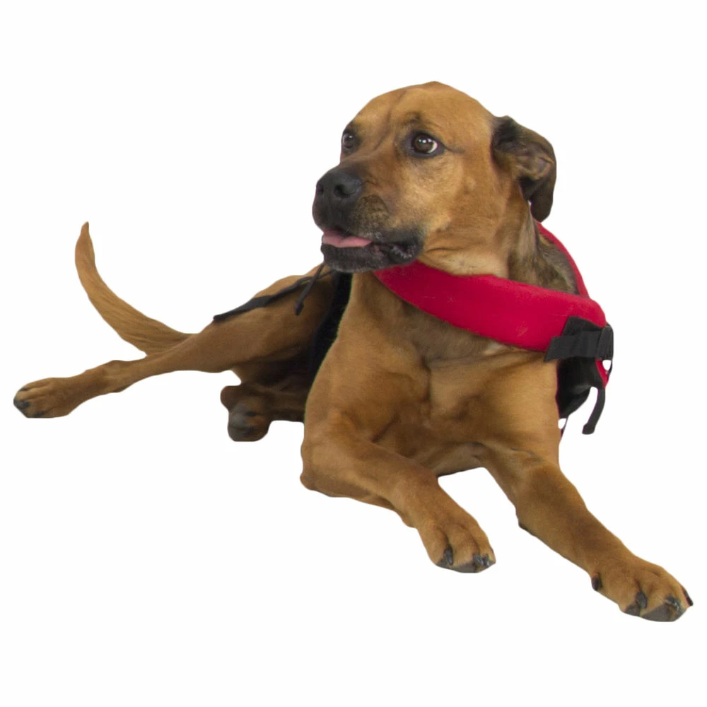 NRS CFD - Canine Flotation Device - Image 6