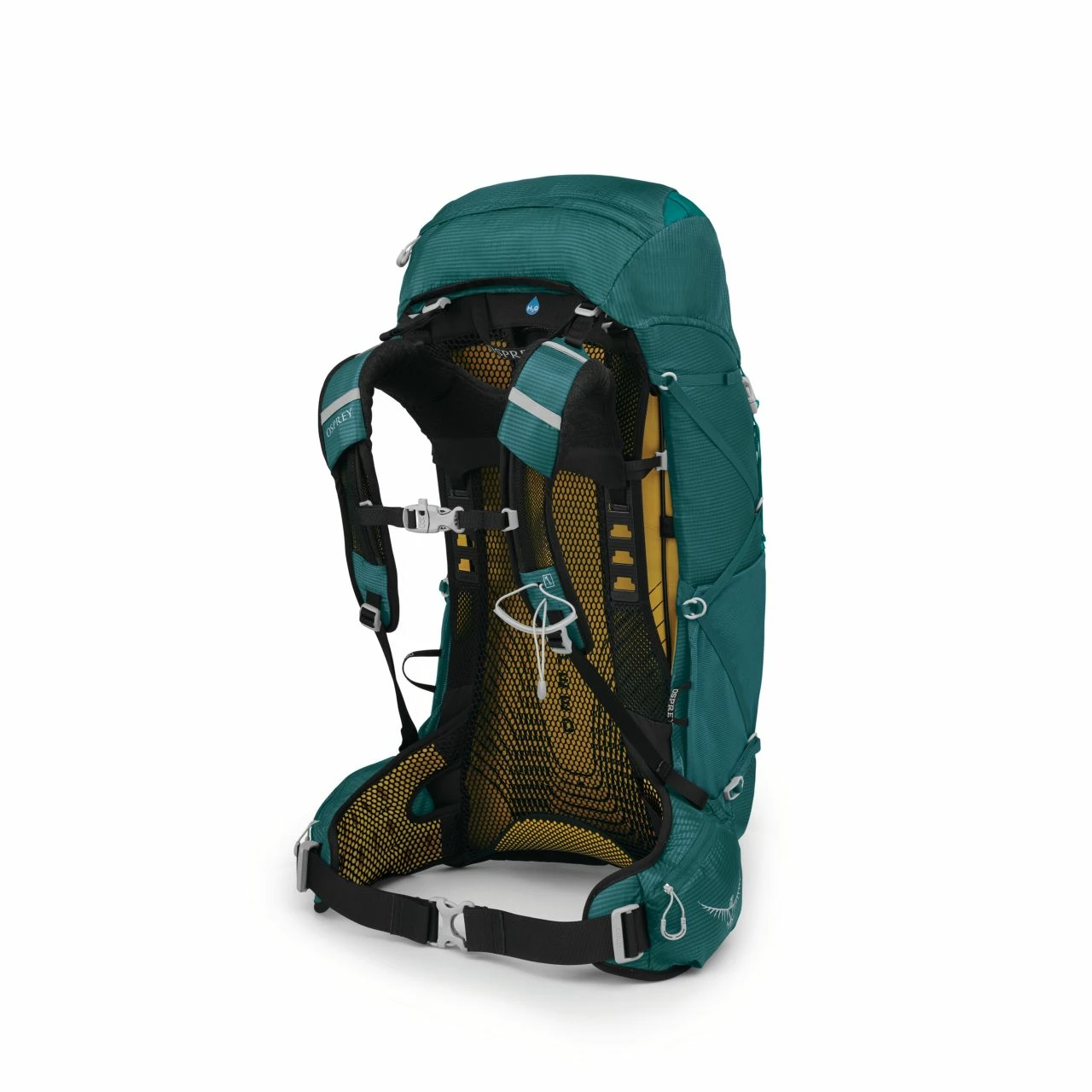 Osprey Eja 38 - Women's 2 Osprey Eja 38 - Women's - Image 2