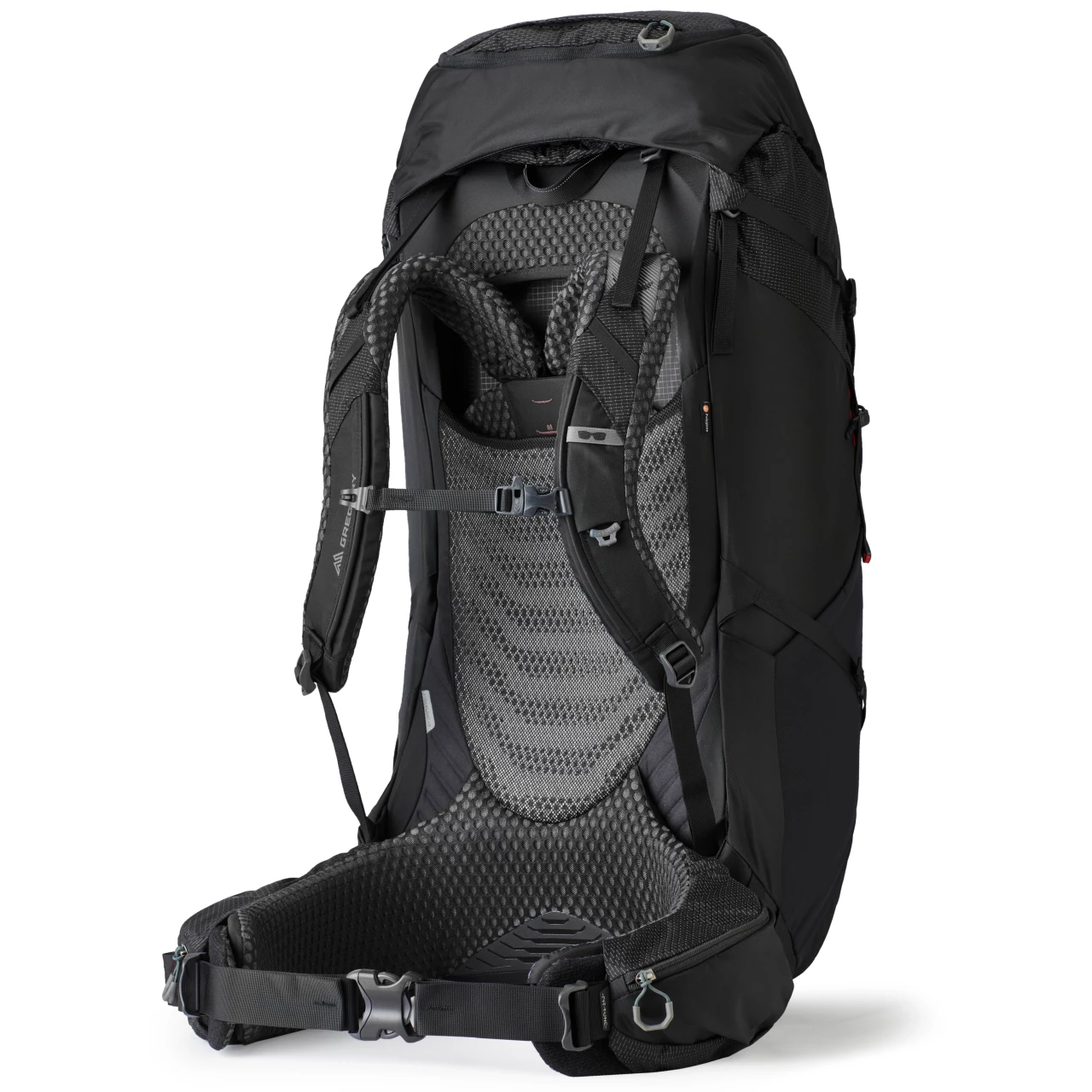 Gregory Baltoro 100 Pro - Men's 2 Gregory Baltoro 100 Pro - Men's - Image 2