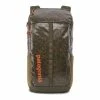 Patagonia Black Hole Pack 25L (Fall 2022)