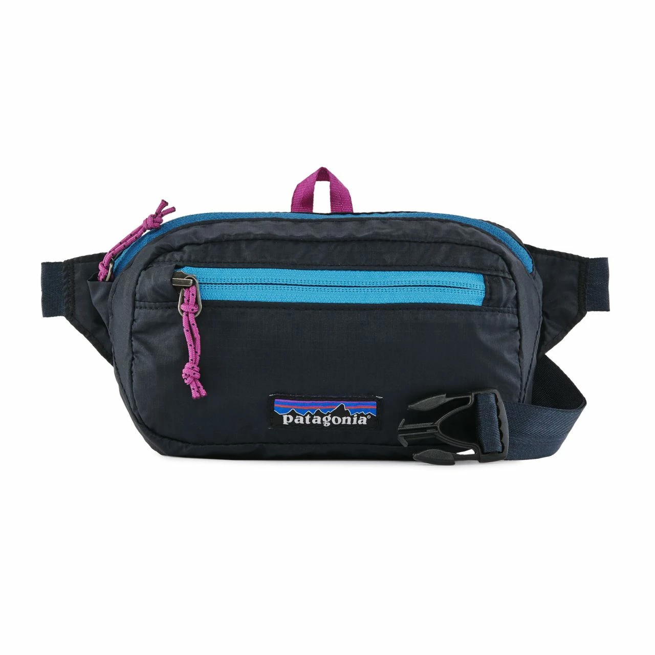Patagonia Ultralight Black Hole Mini Hip Pack - Image 4