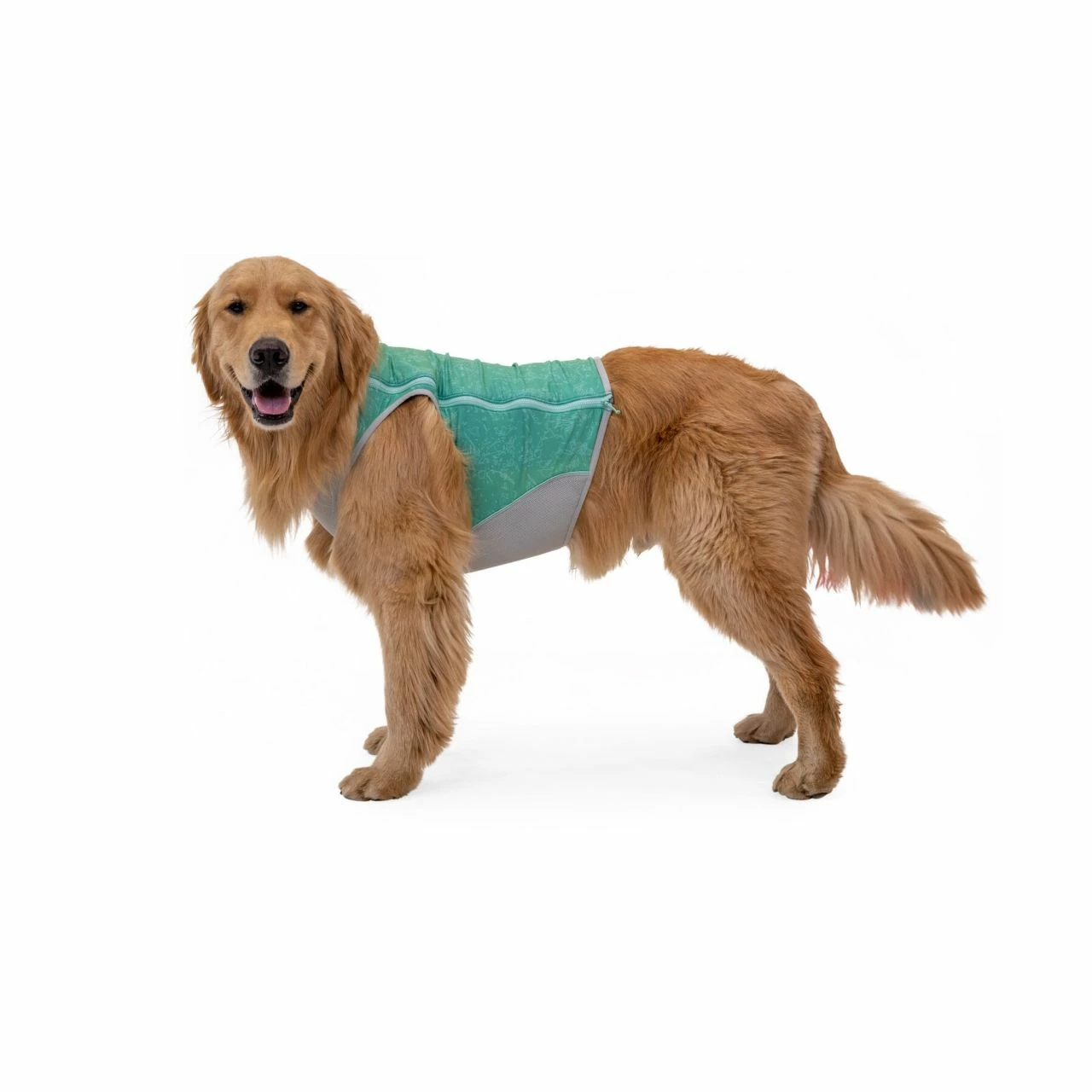 Ruffwear Swamp Cooler Zip Vest - Image 9
