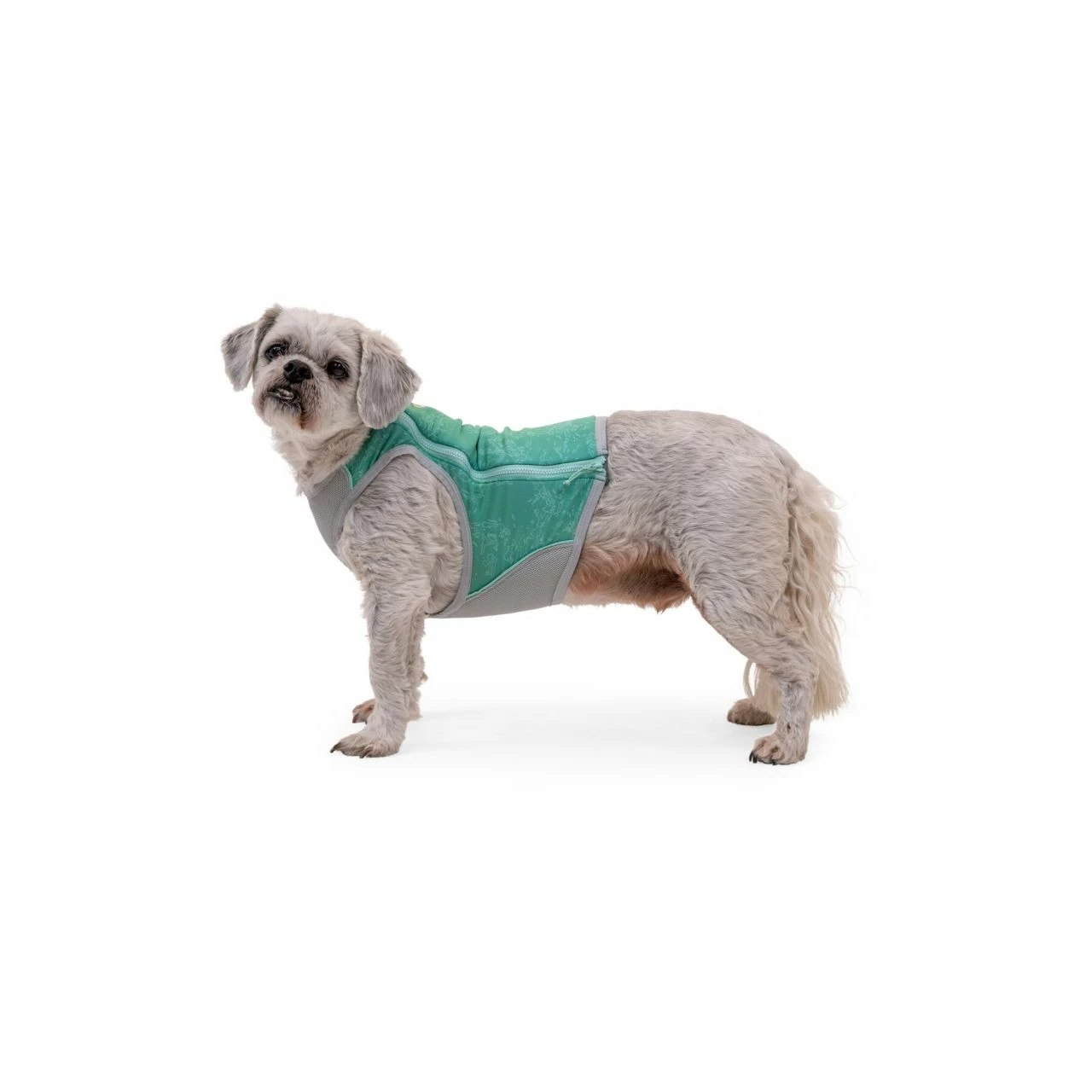 Ruffwear Swamp Cooler Zip Vest - Image 10