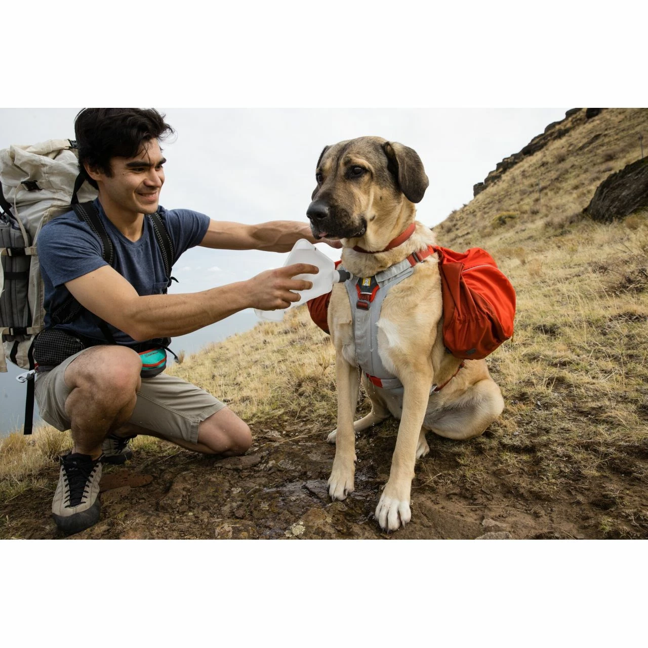 Ruffwear Swamp Cooler Core - Image 10