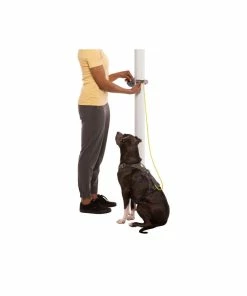 Ruffwear Hitch Hiker Leash 33 Ruffwear Hitch Hiker Leash -Leki Sales Shop Web JPG 4041 Hitch Hiker Leash Slate Blue Tie Out STUDIO rsz 57779.1657307984