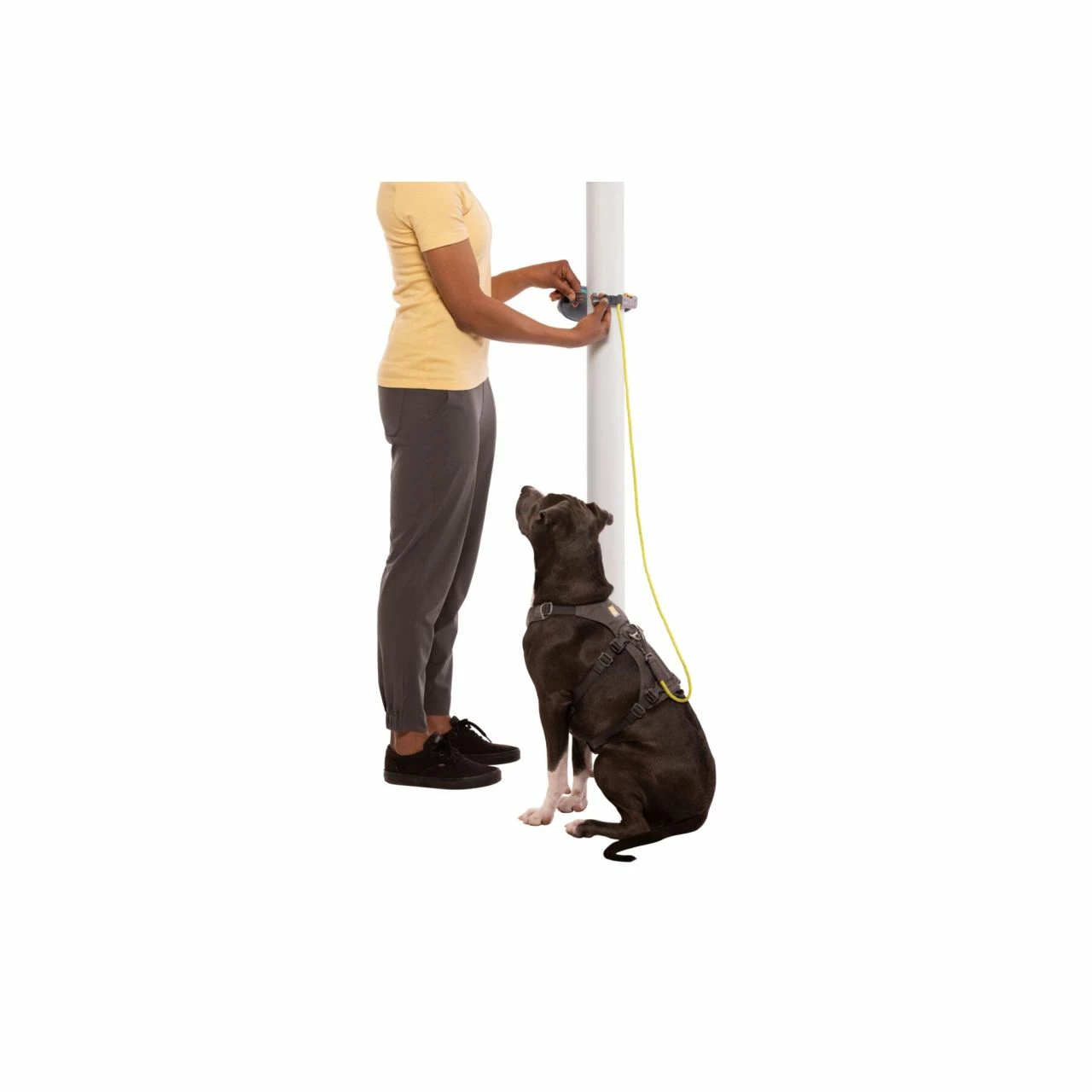 Ruffwear Hitch Hiker Leash 14 Ruffwear Hitch Hiker Leash - Image 14