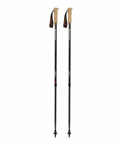 Mountainsmith Andesite Trekking Poles