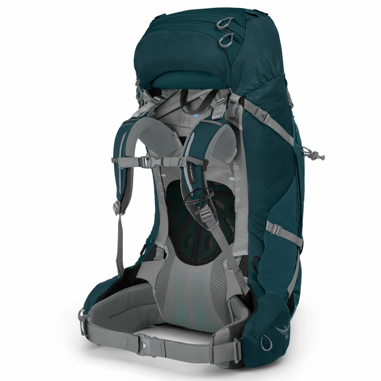 Osprey Ariel Plus 70 - Women's 4 Osprey Ariel Plus 70 - Women's - Image 4