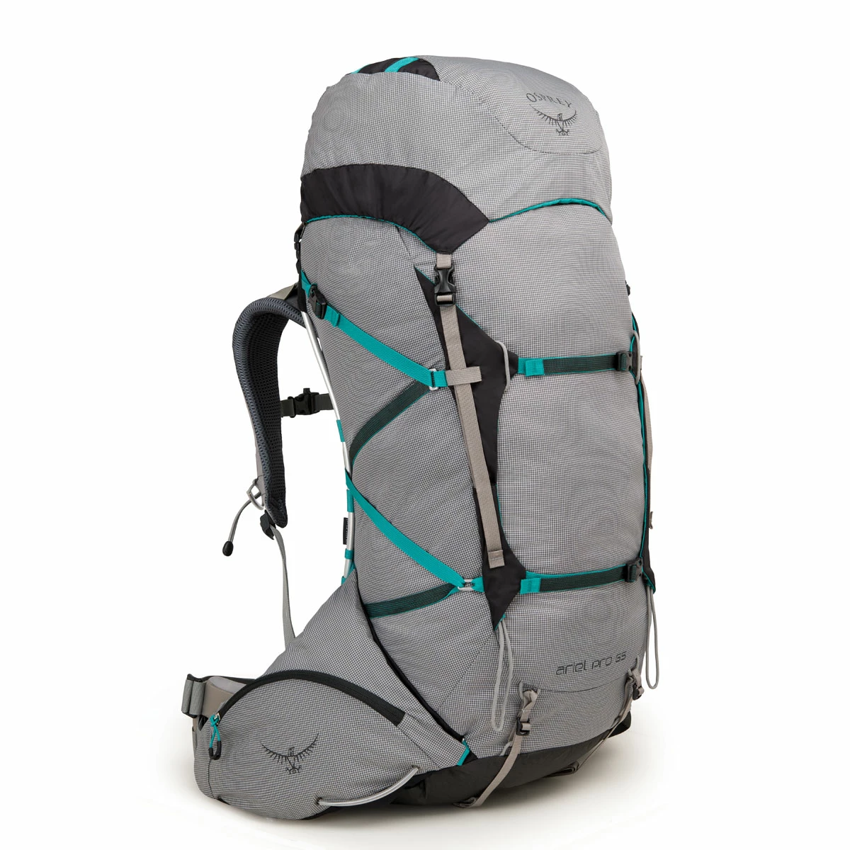 Osprey Ariel Pro 65 - Women's 1 Osprey Ariel Pro 65 - Women's