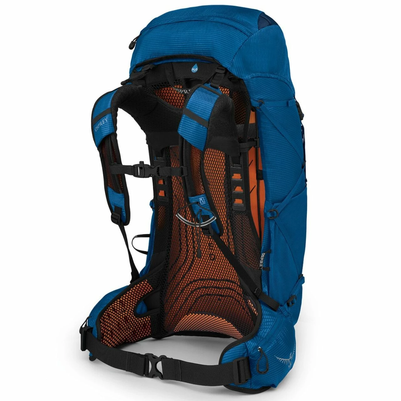 Osprey Exos 38 - Men's 5 Osprey Exos 38 - Men's - Image 5