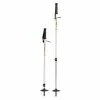 MSR DynaLock Trail Poles