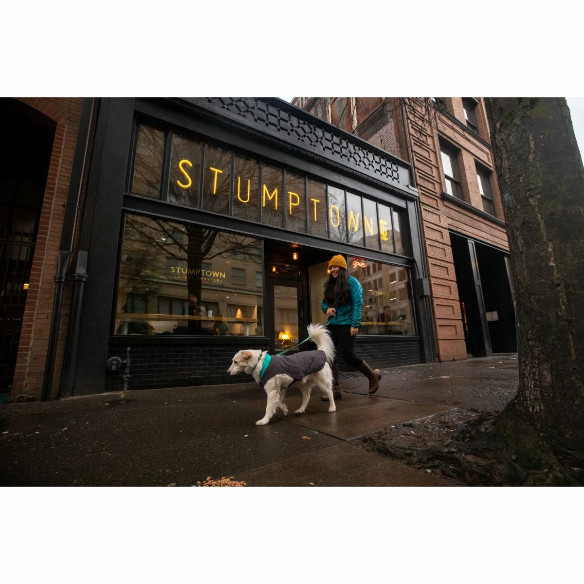 Ruffwear Stumptown Jacket - Image 13