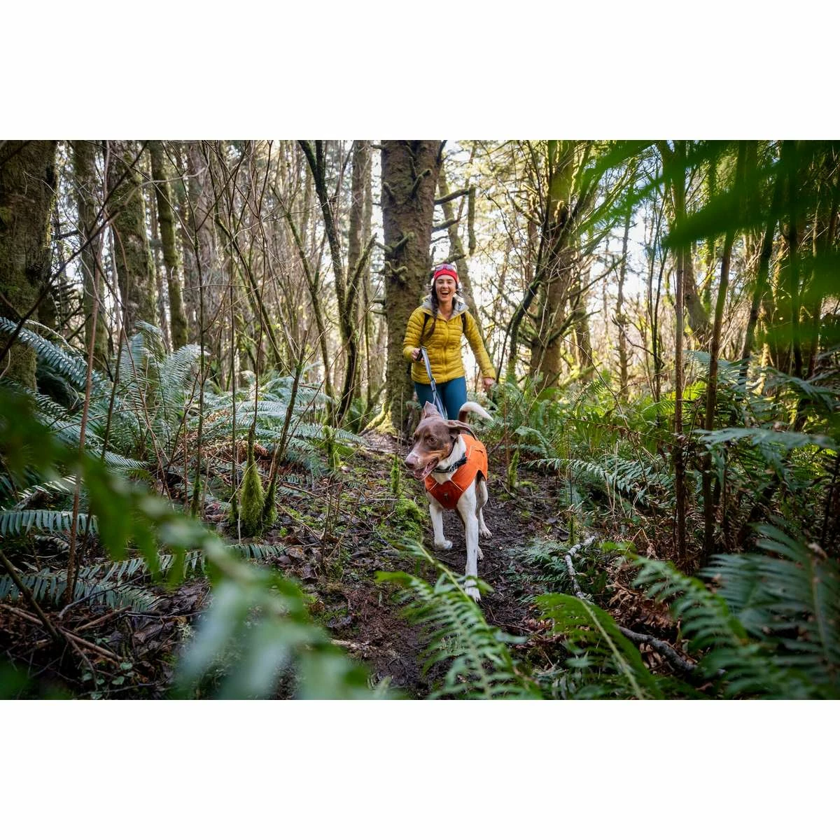 Ruffwear Overcoat Fuse Jacket (Fall 2022) - Image 16