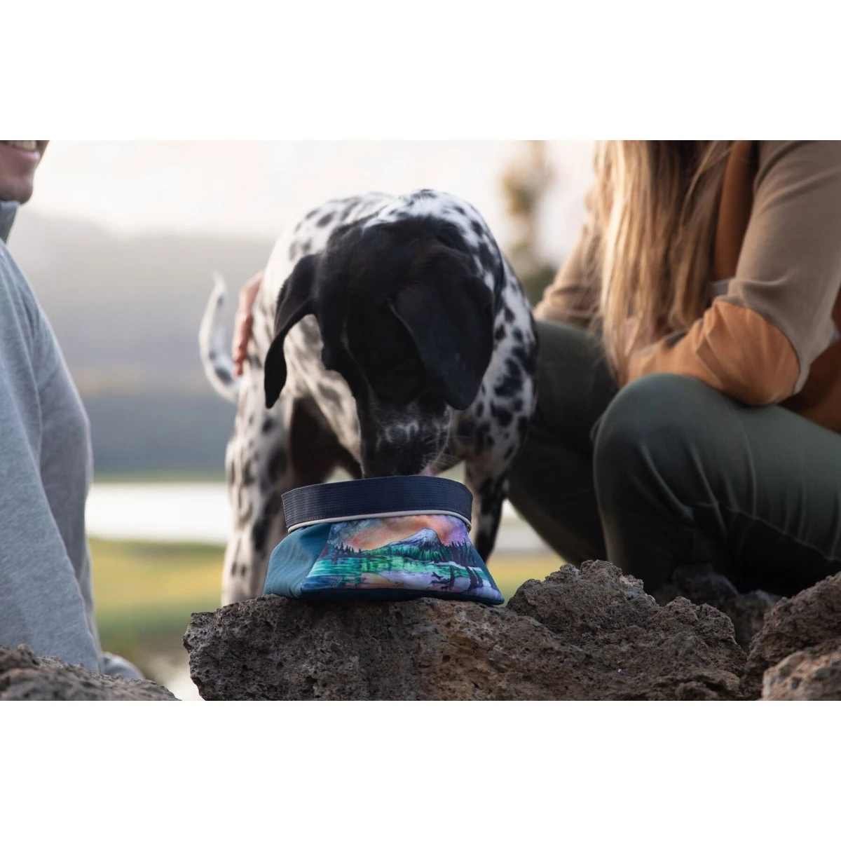 Ruffwear Artist Series Quencher Bowl (Fall 2022) - Image 4